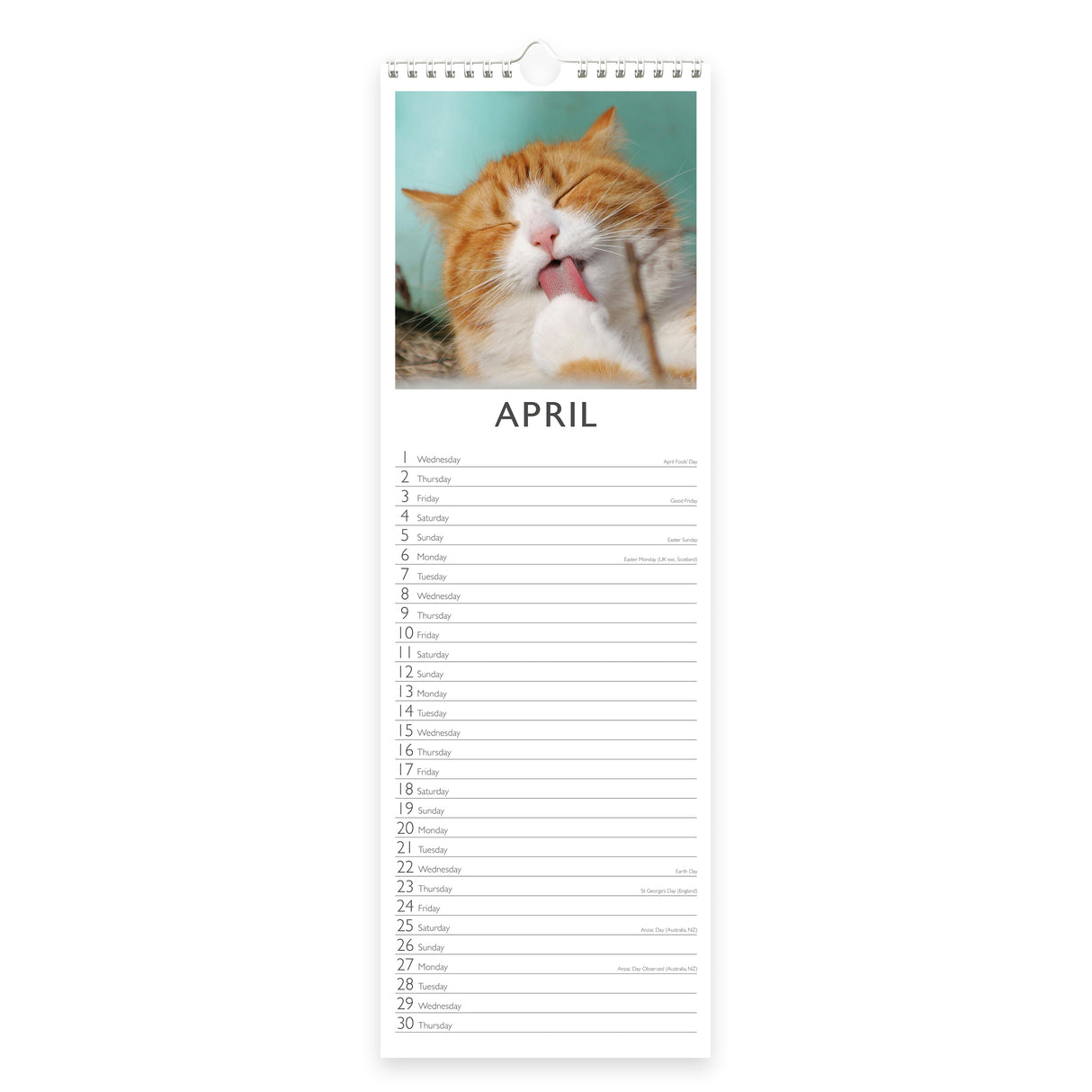 Cats Slim 2026 Wall Calendar
