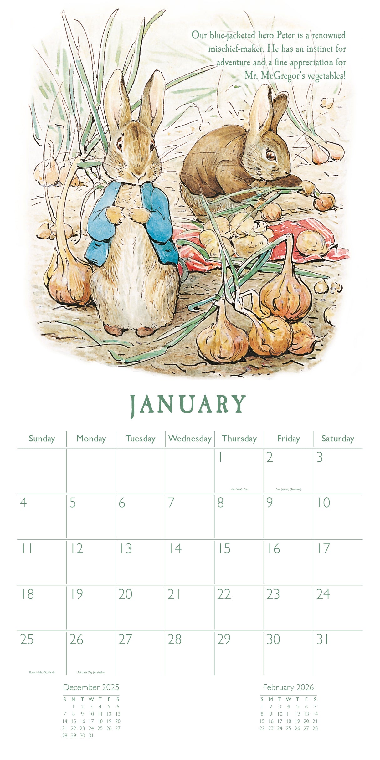 Peter Rabbit 2026 Square Wall Calendar