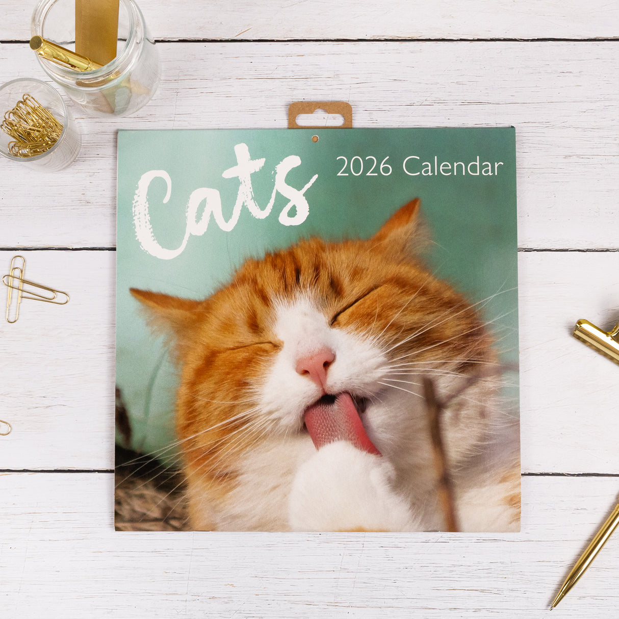 Cats 2026 Wall Calendar