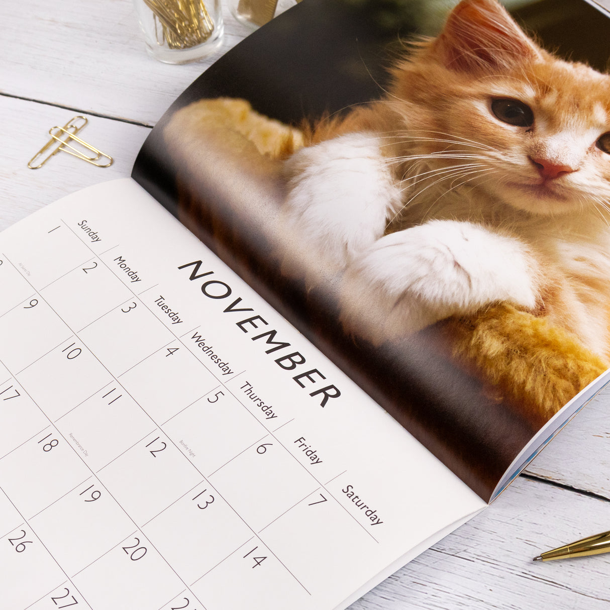 Cats 2026 Wall Calendar