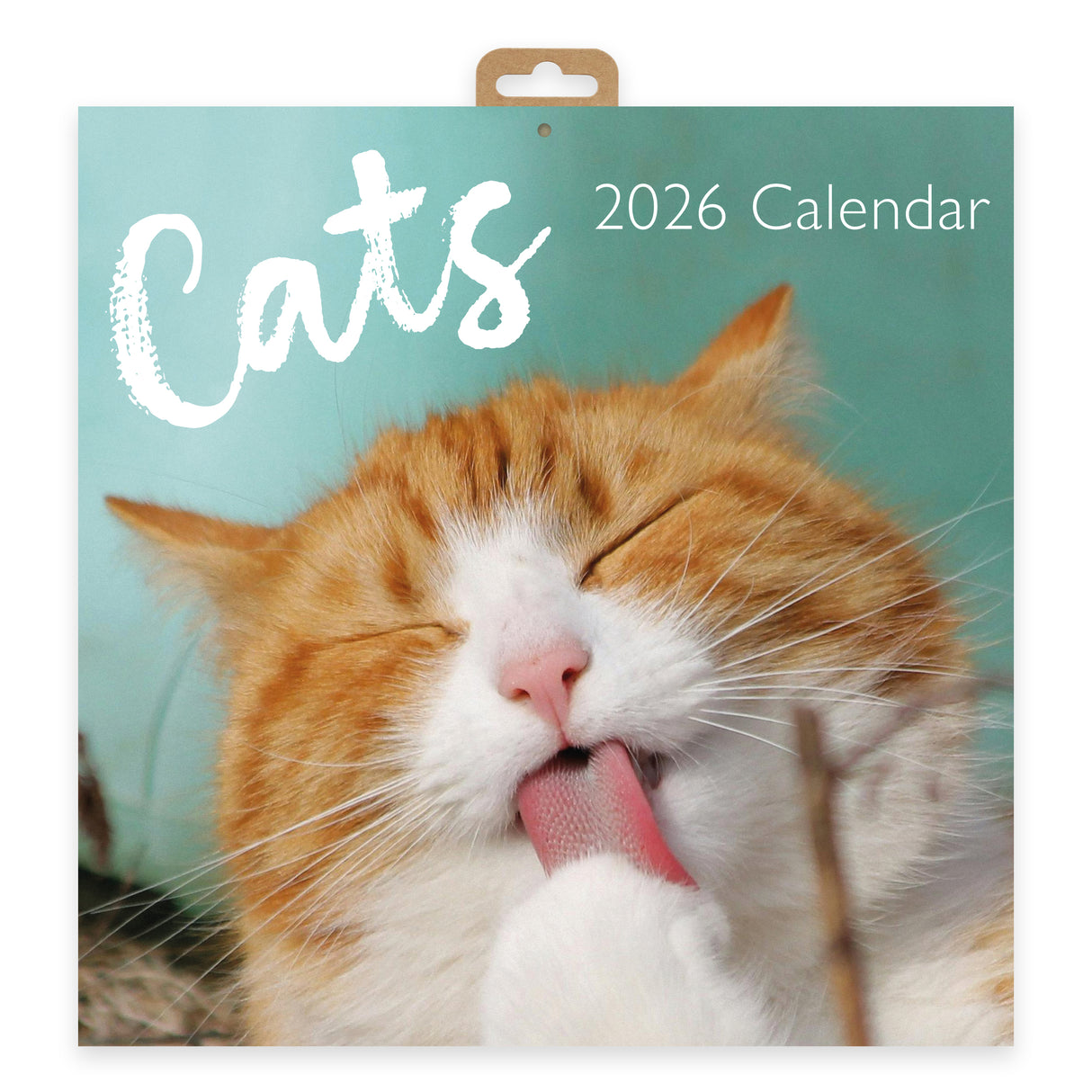 Cats 2026 Wall Calendar