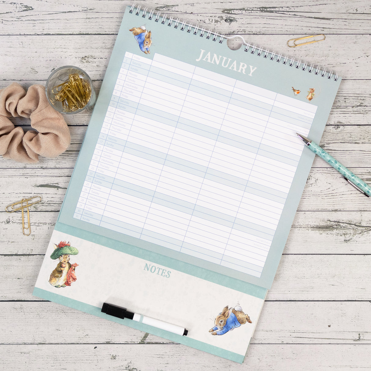 Peter Rabbit Family Organiser 2027