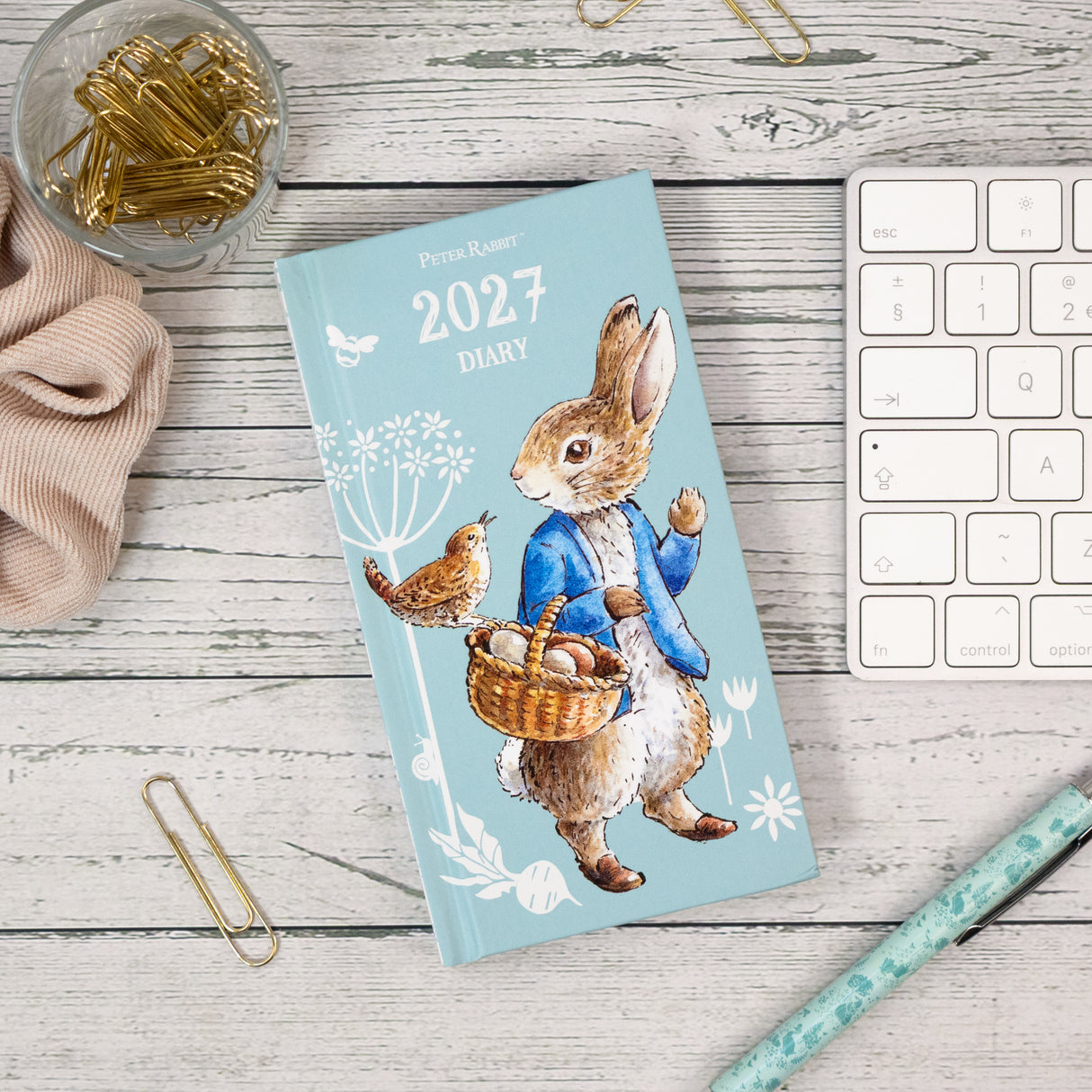 Peter Rabbit Slim Cased Diary 2027