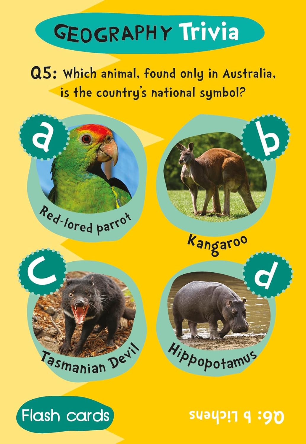 Children's Geography Trivia Flash Cards