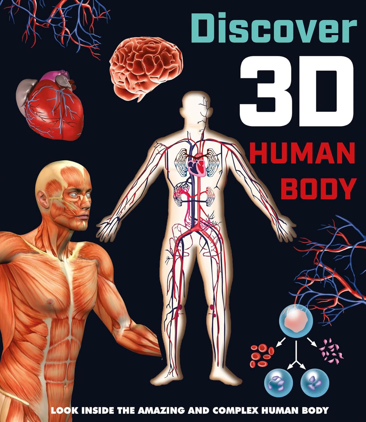 Discover the Human Body in 3D – Children’s Anatomy Book