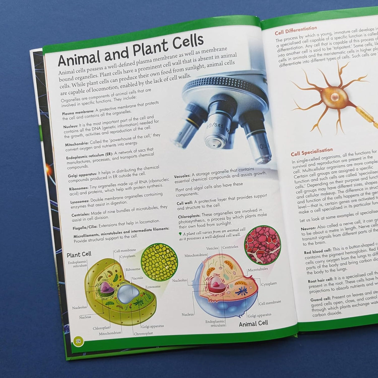 Discover Biology, Chemistry & Physics - A First Introduction To Science – Children’s STEM Book