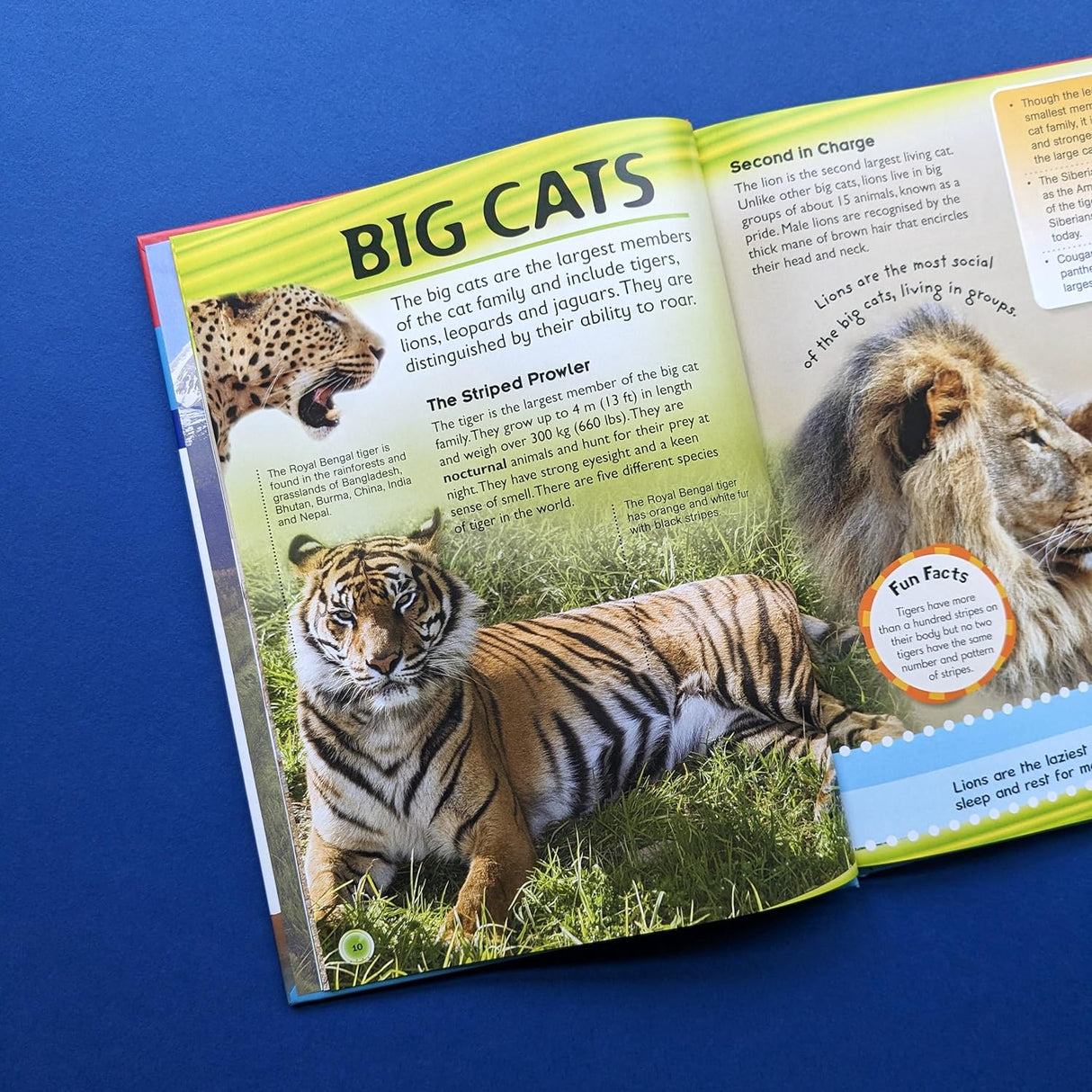 Great Book of Knowledge - Children's Reference Book