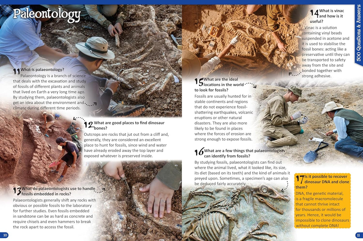 500 Questions and Answers - Dinosuars - Children's Reference Book