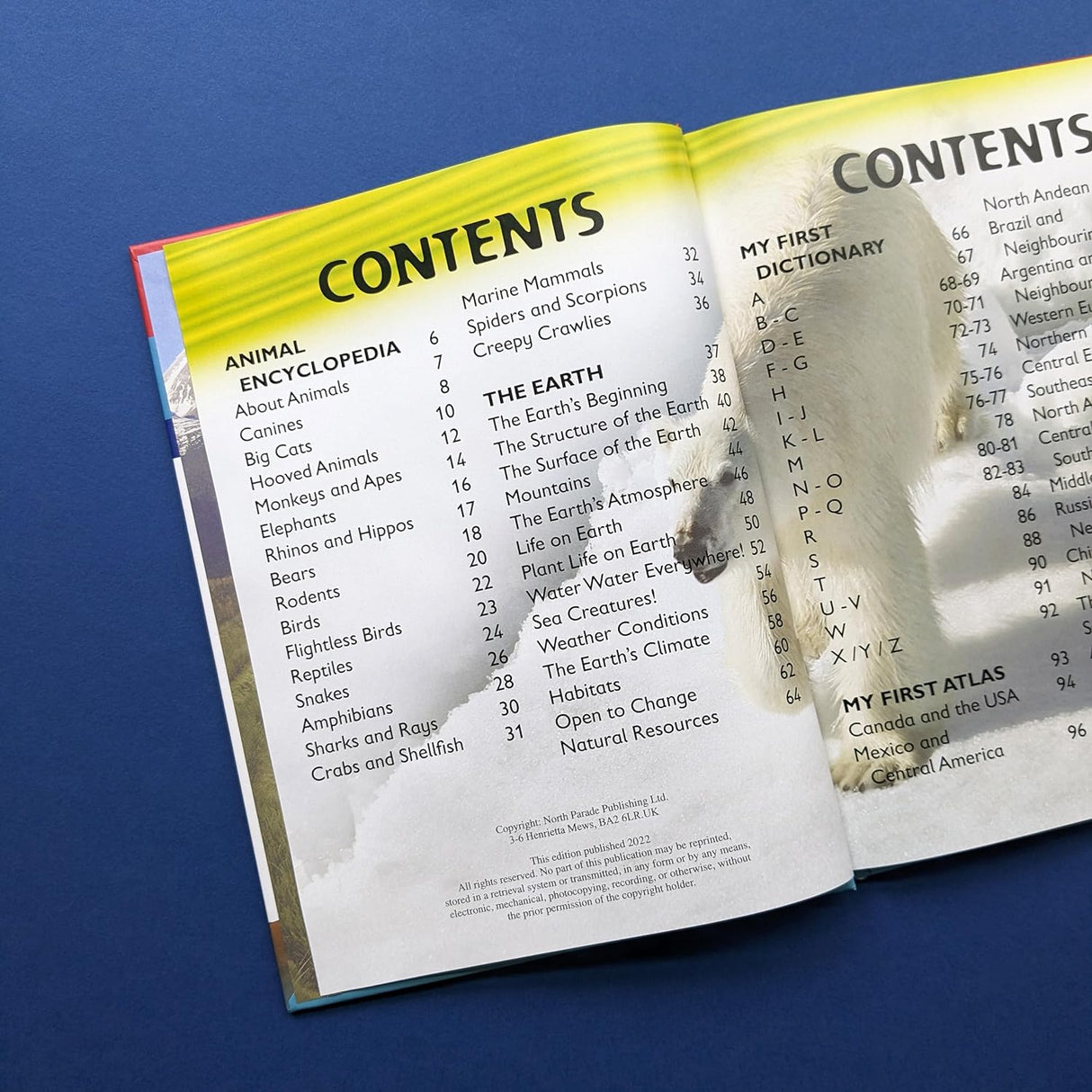 Great Book of Knowledge - Children's Reference Book