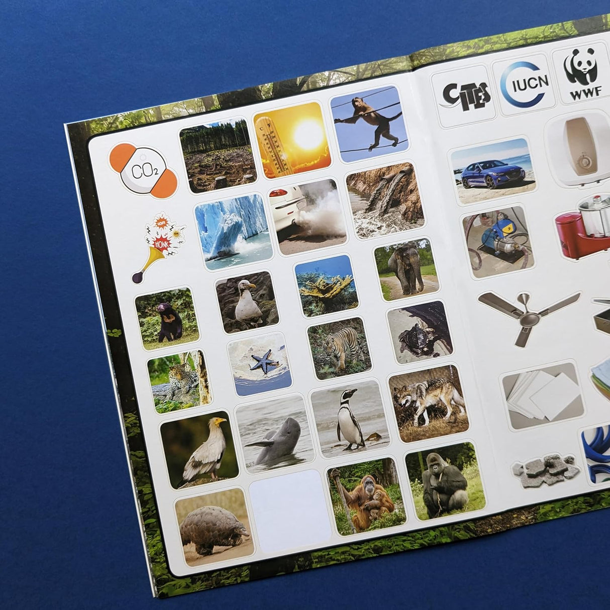 Saving Planet Earth Sticker Book - Find, Stick and Learn