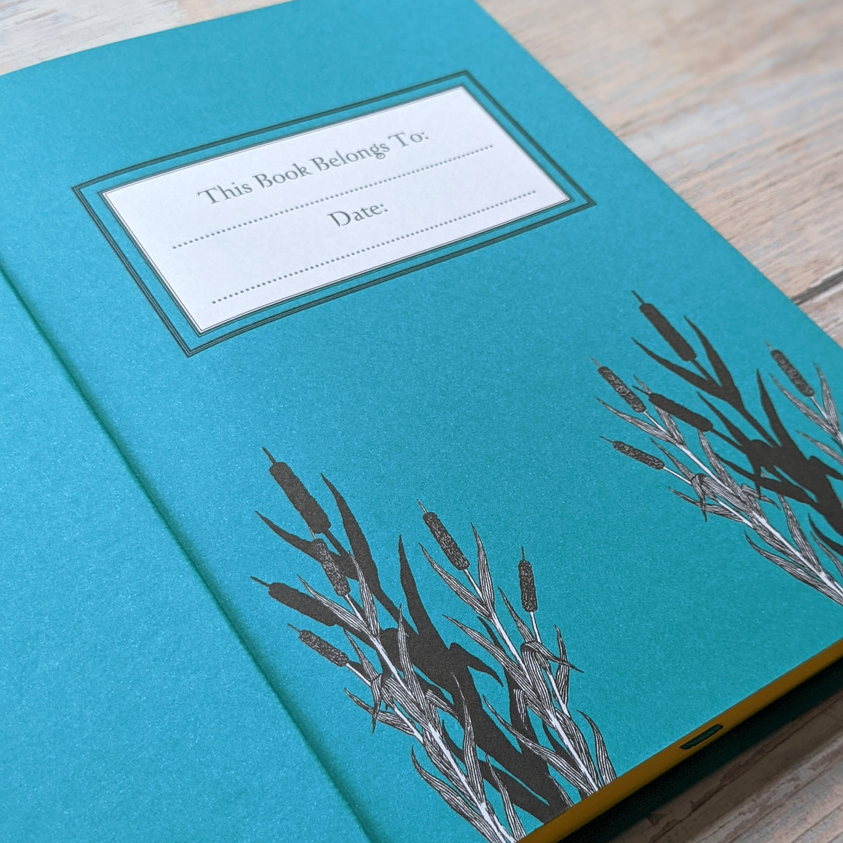 The Wind In The Willows - Children’s Classic Book