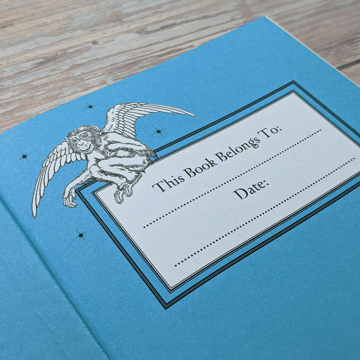 The Wizard of Oz - Children’s Classic Book