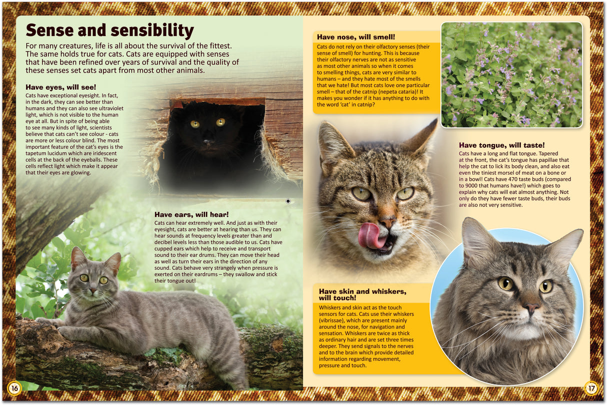 Encyclopedia of Cats: A Comprehensive Guide to Cat Breeds - Children's Reference Book