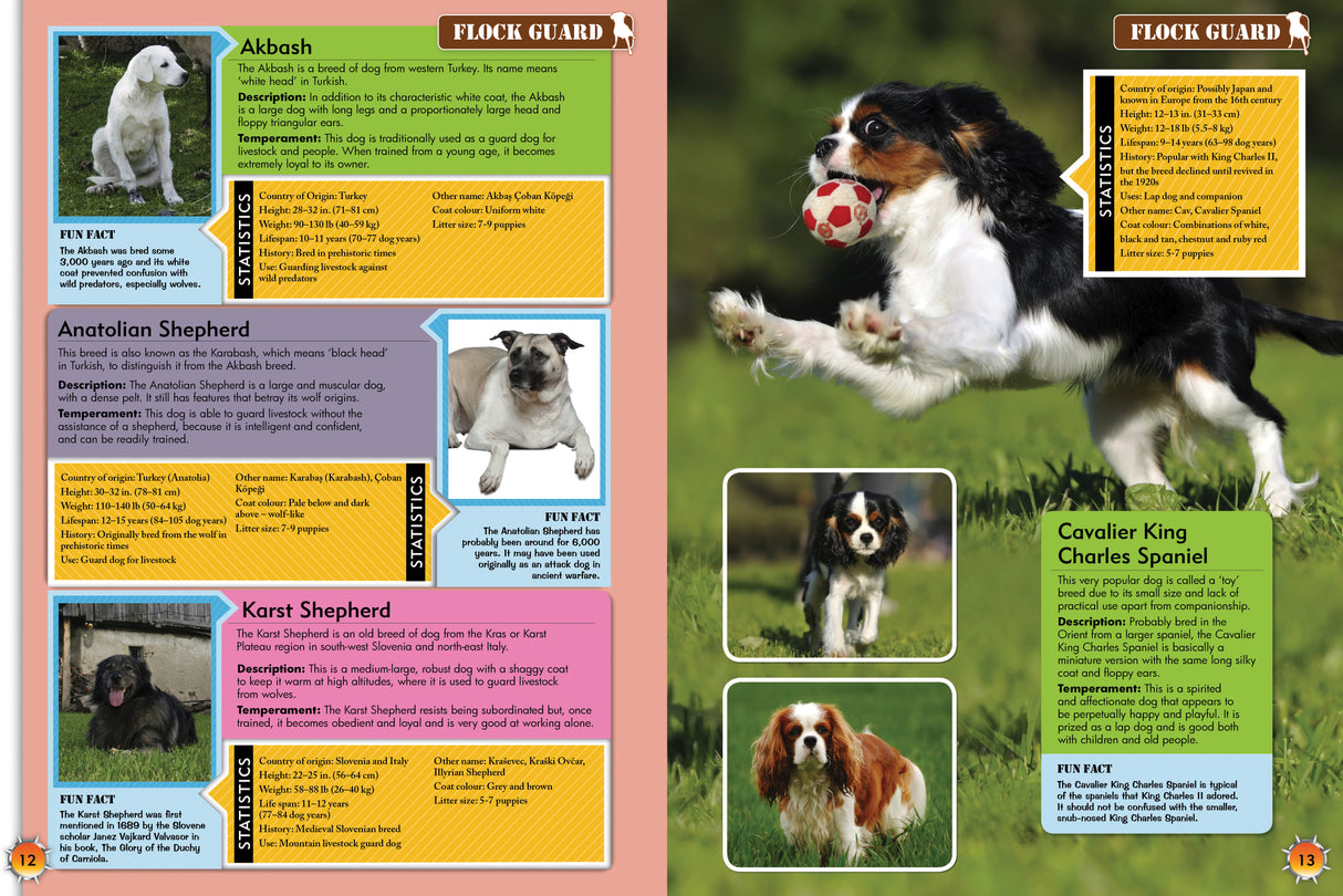 Encyclopedia of Dogs: A Comprehensive Guide to Dog Breeds - Children's Reference Book