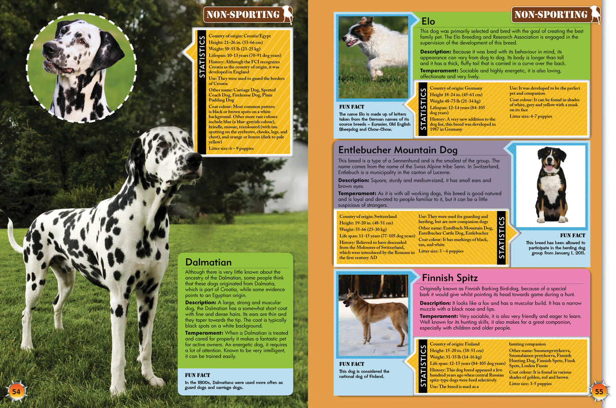 Encyclopedia of Dogs: A Comprehensive Guide to Dog Breeds - Children's Reference Book