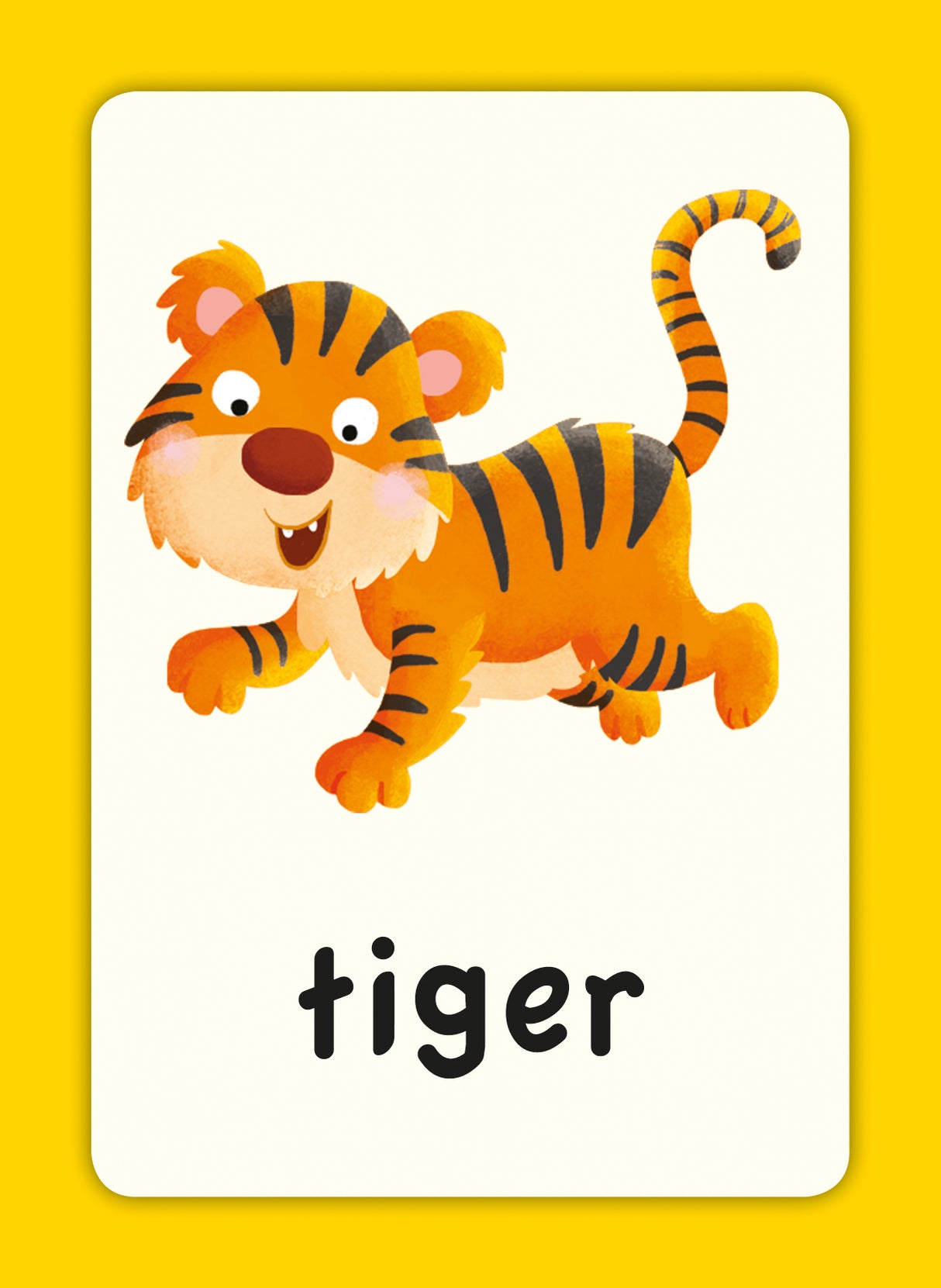 Children’s First Words Flash Cards