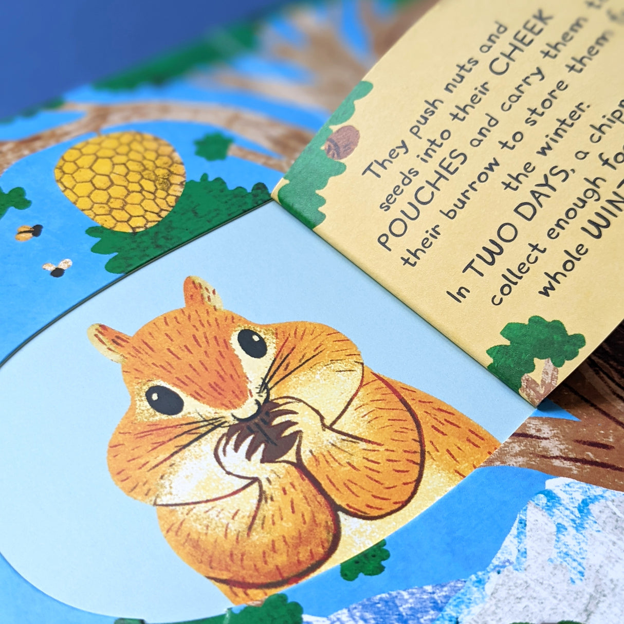 Which Animal Would Be A Good Friend? - Children’s Question & Answer Book