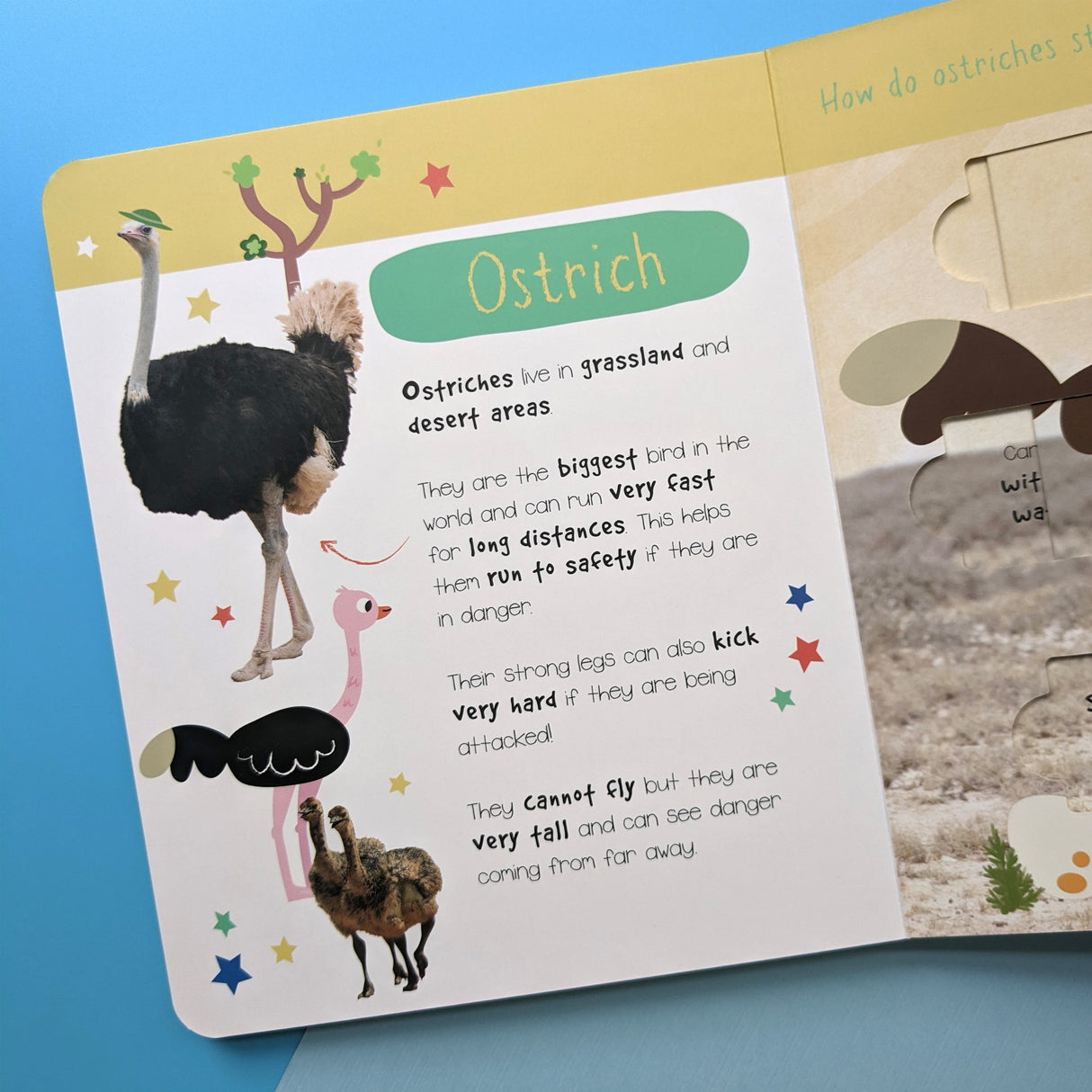 Desert Animals: Who is Hiding in the Puzzle? - Children’s Puzzle Slider Book