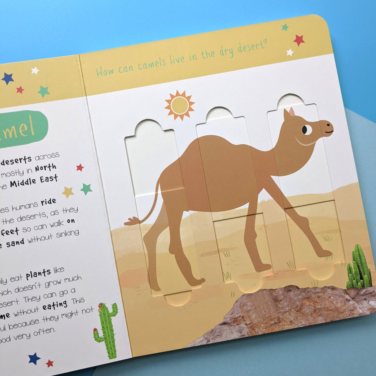 Desert Animals: Who is Hiding in the Puzzle? - Children’s Puzzle Slider Book