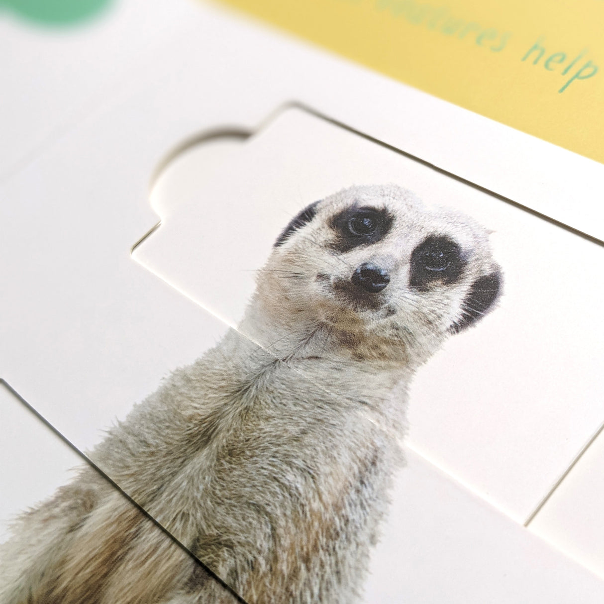 Desert Animals: Who is Hiding in the Puzzle? - Children’s Puzzle Slider Book