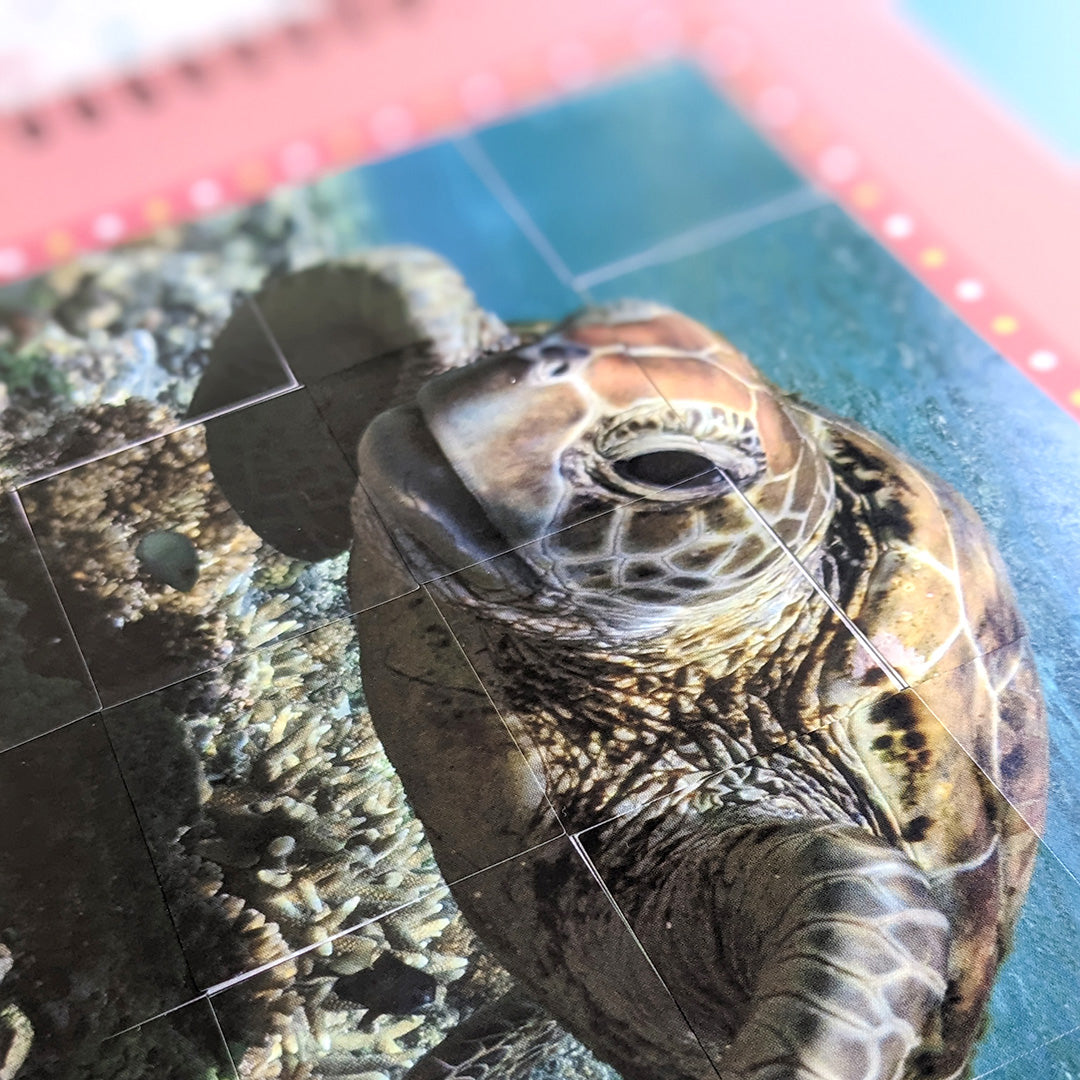 In The Ocean - Children’s Sticker By Number Activity Book