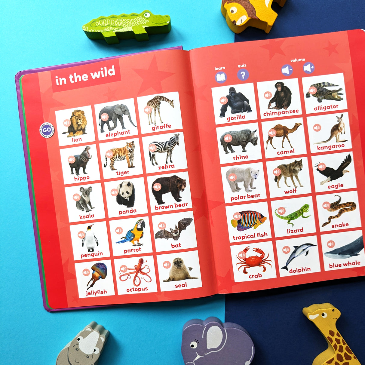 My Big Book of First Words – Children’s Educational Sound Book