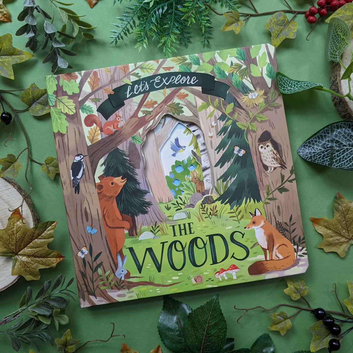 Let's Explore The Woods - Children's Lift-The-Flap Book