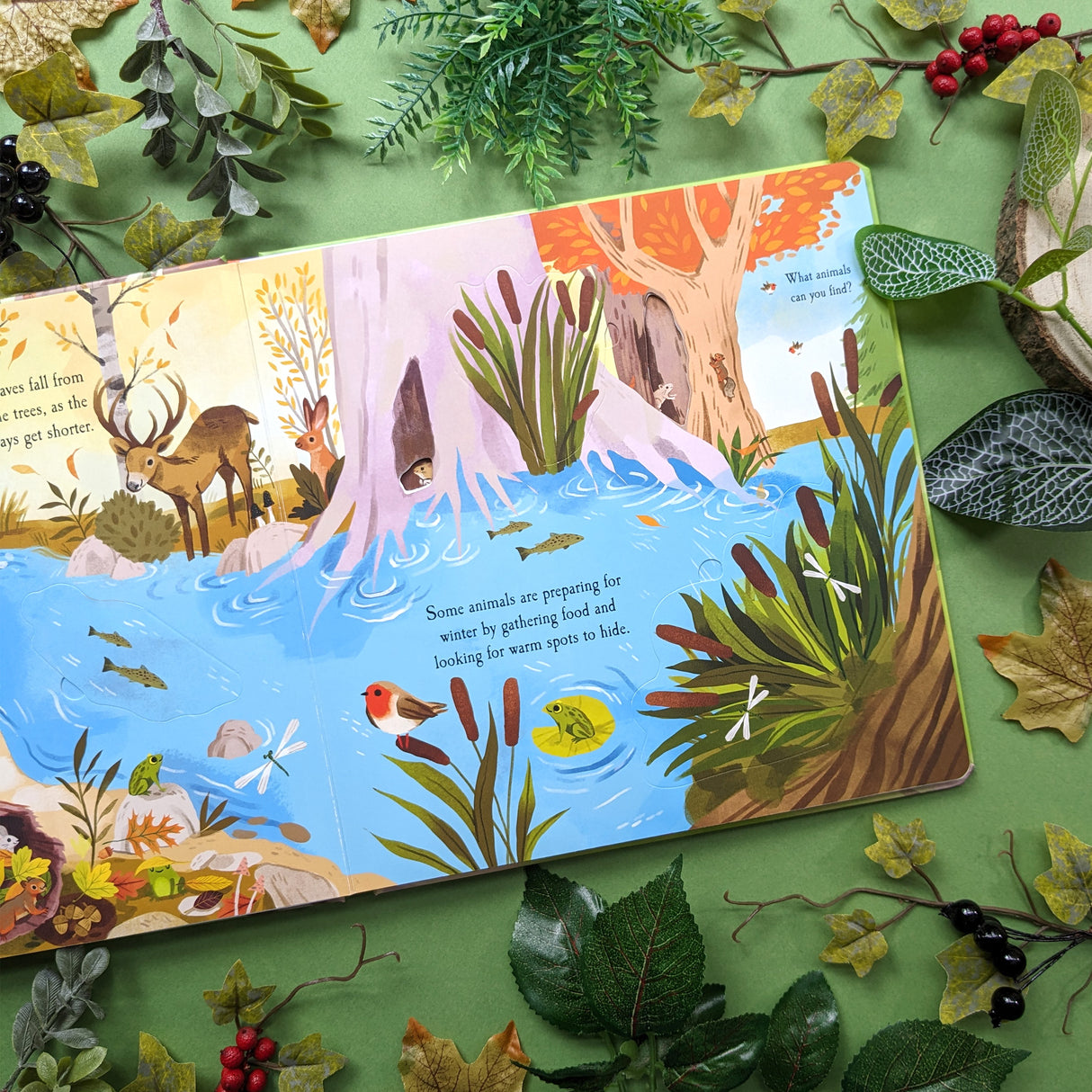 Let's Explore The Woods - Children's Lift-The-Flap Book