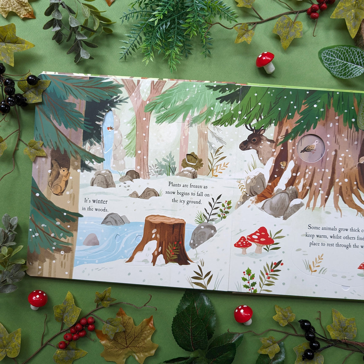 Let's Explore The Woods - Children's Lift-The-Flap Book