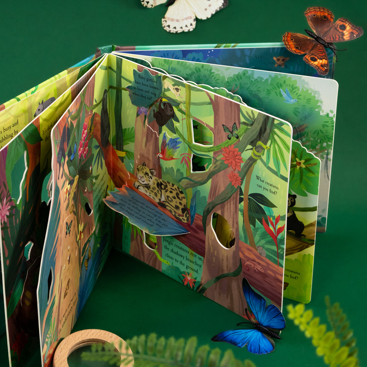 Let’s Explore The Rainforest - Children’s Lift-the-Flap Book