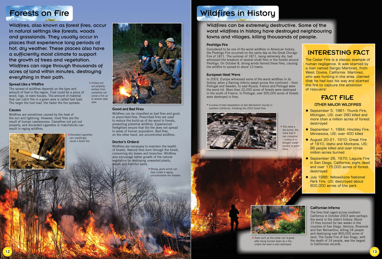 Encyclopedia of Natural Disasters - Children's Reference Book