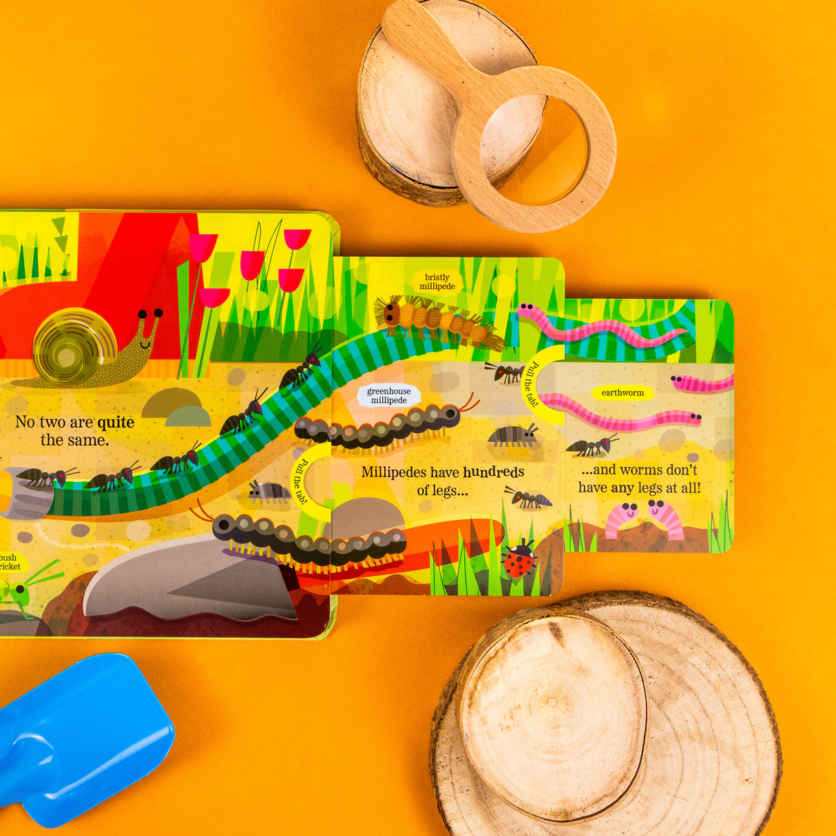 Brilliant Bugs and Minibeasts - My Nature Pull‑Tab Board Book