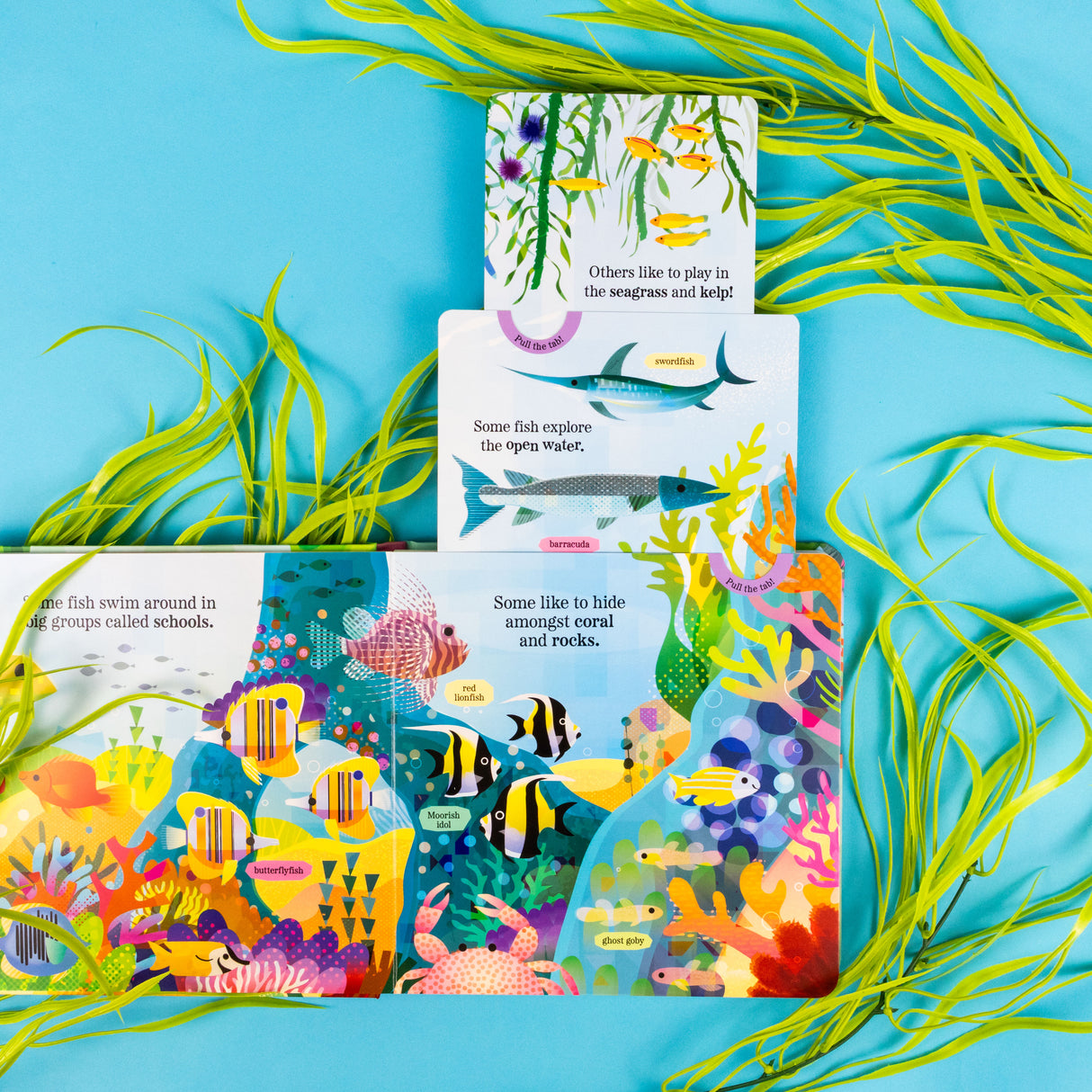 Fantastic Fish - My Nature Pull-Tab Board Book