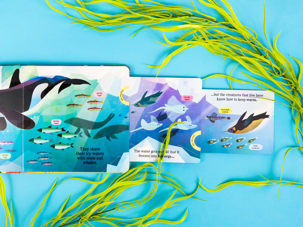 Fantastic Fish - My Nature Pull-Tab Board Book