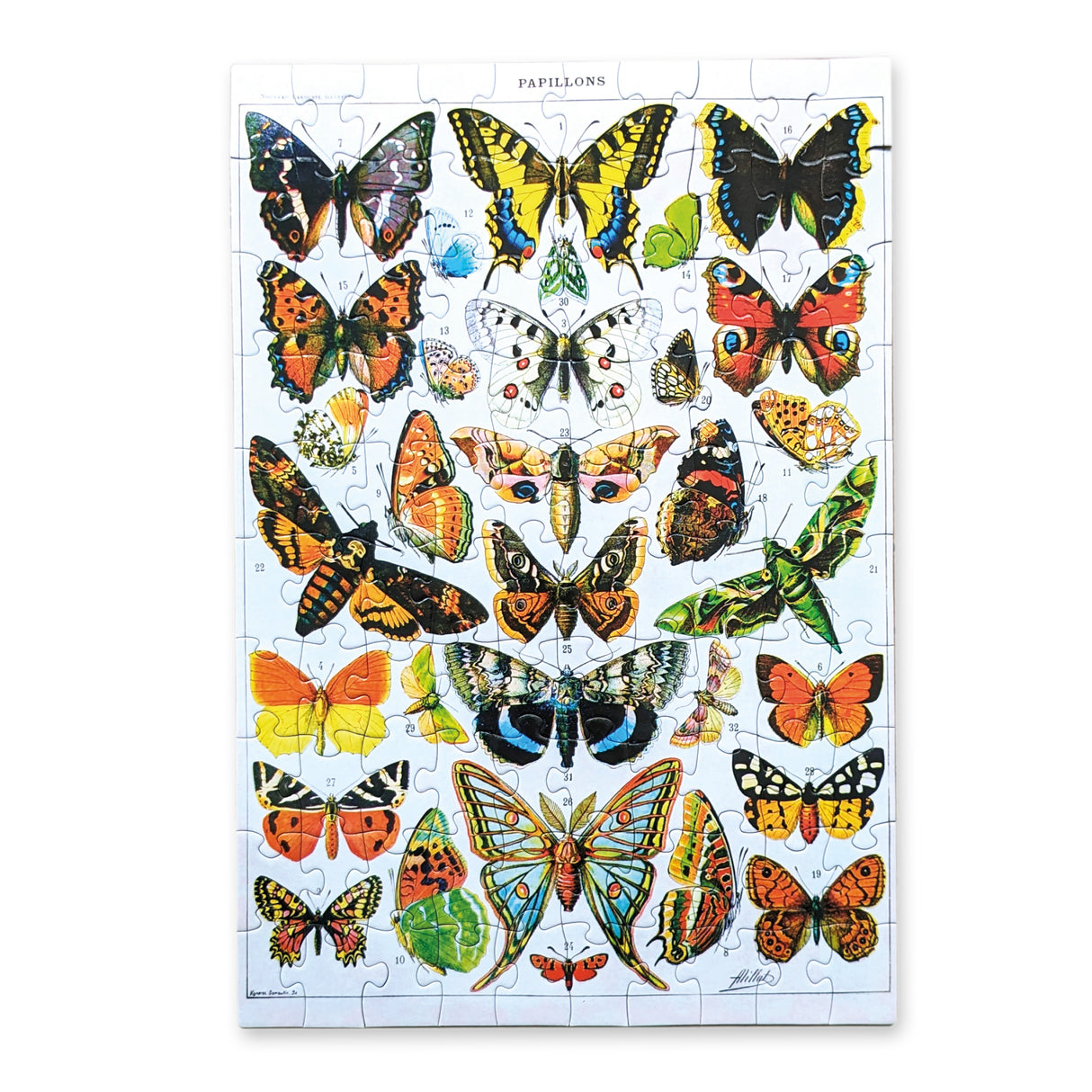 Vintage Butterflies – 100 Piece Puzzle