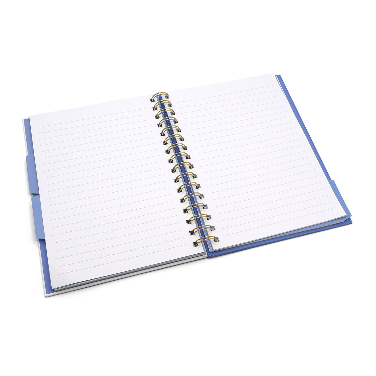 Peter Rabbit A5 Notebook Wired with Dividers – Out & About Design