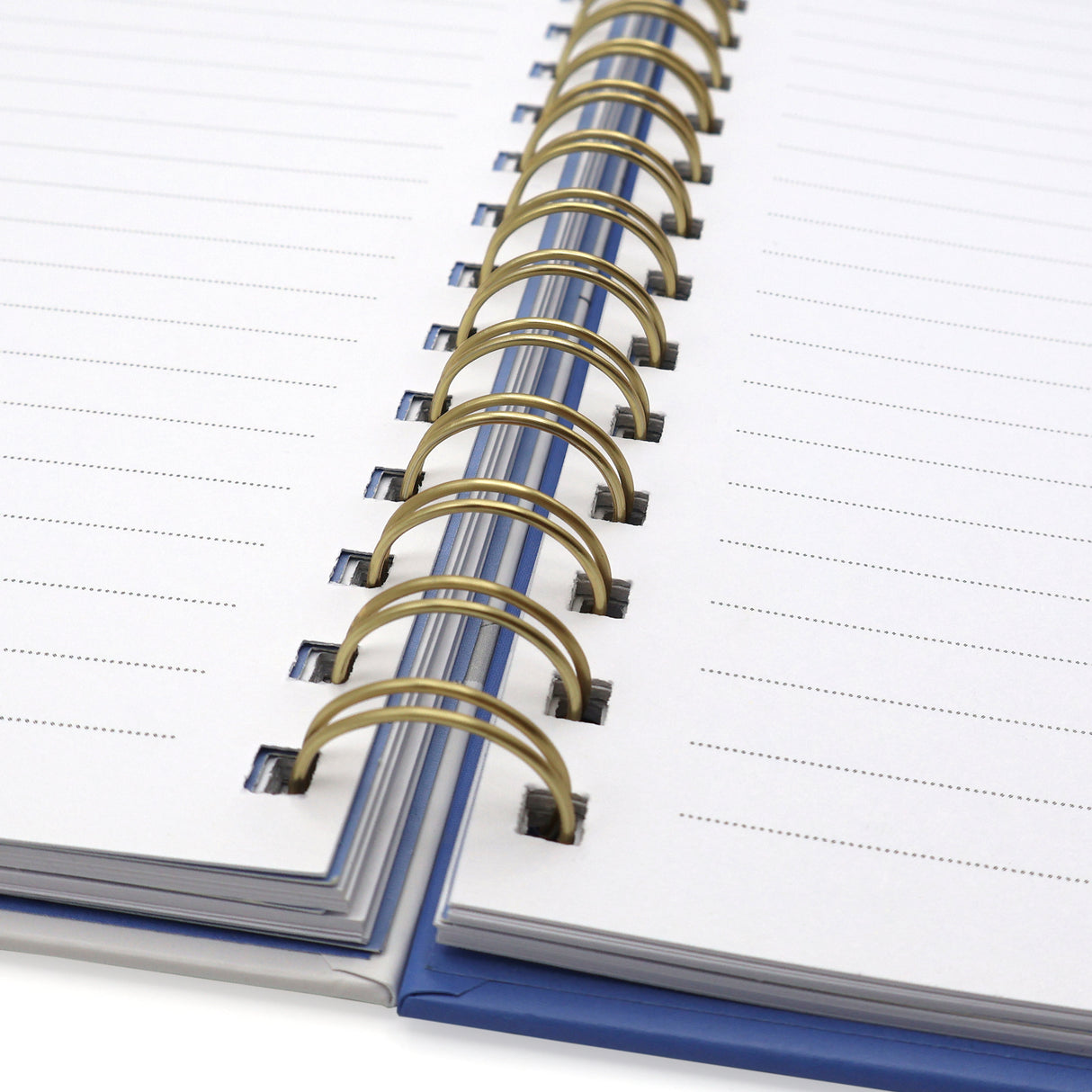 Peter Rabbit A5 Notebook Wired with Dividers – Out & About Design