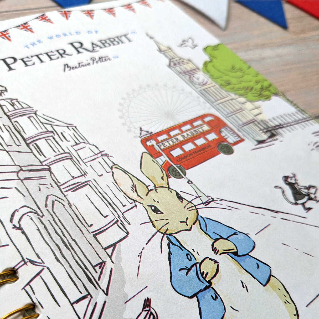 Peter Rabbit A5 Notebook Wired with Dividers – Out & About Design