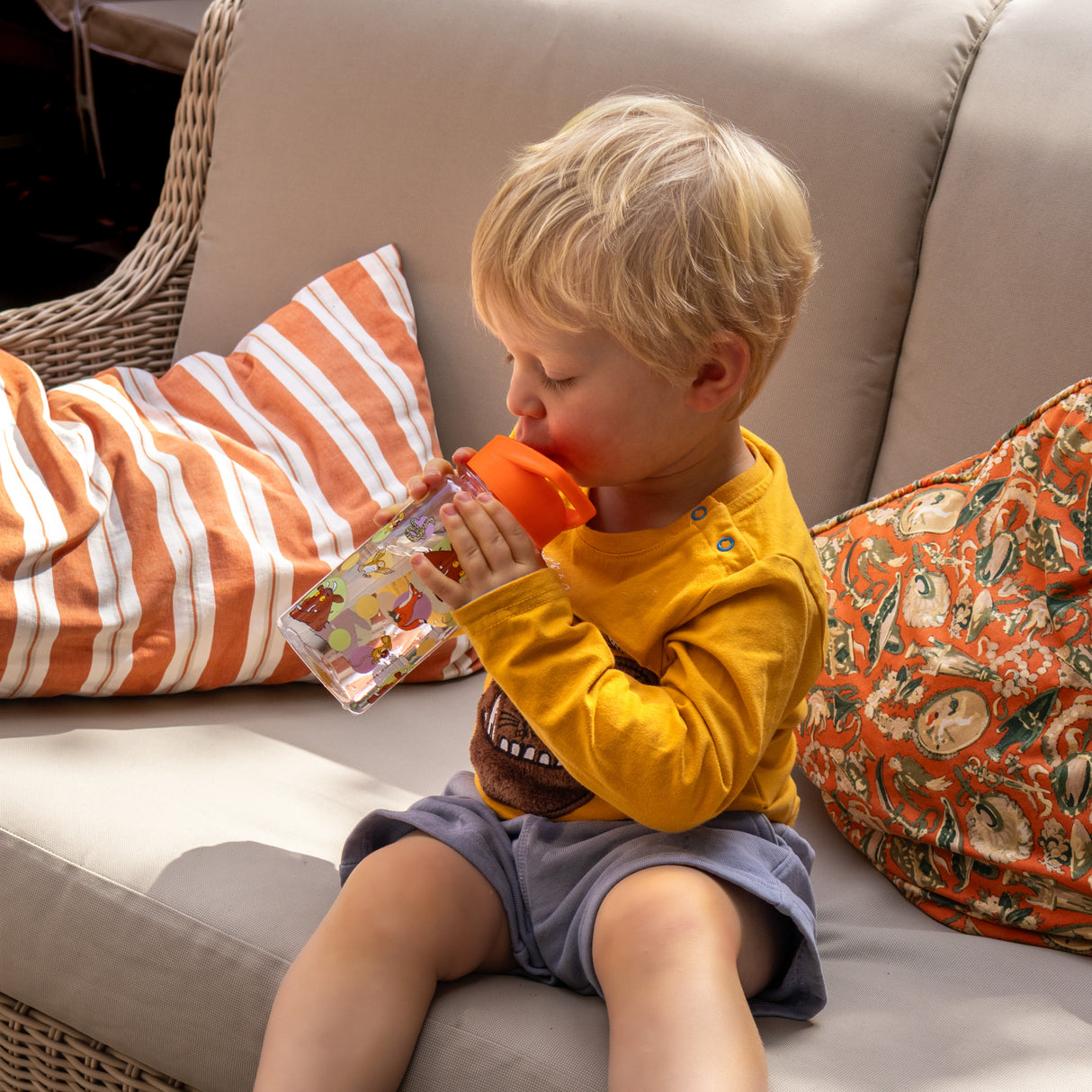 The Gruffalo's Children’s Water Bottle – 450ml BPA-Free Drink Bottle