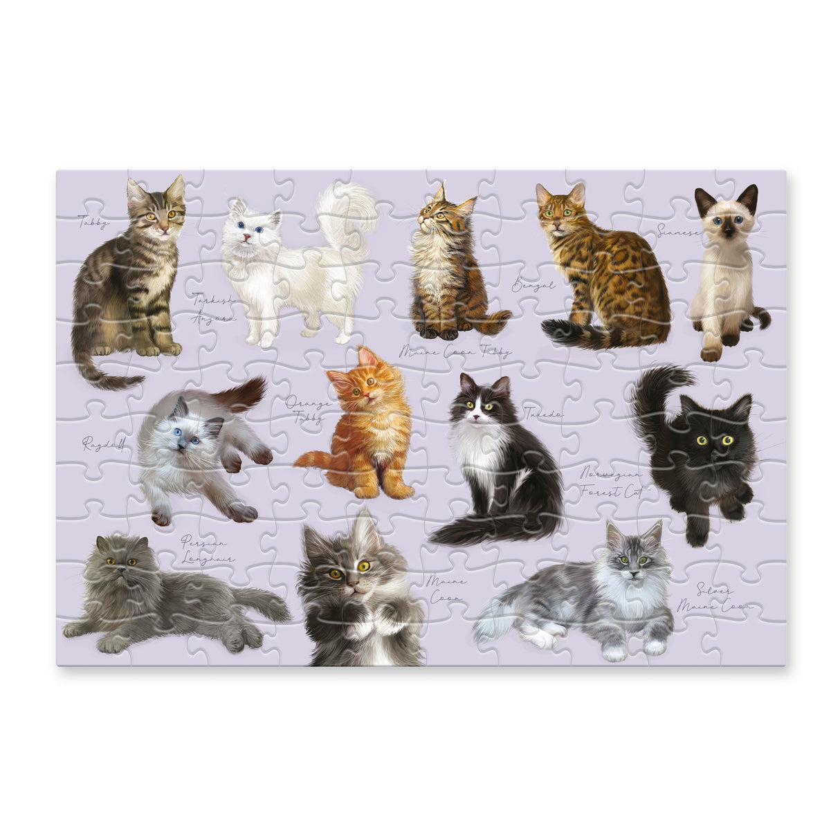 Patricia MacCarthy Cats – 100 Piece Puzzle