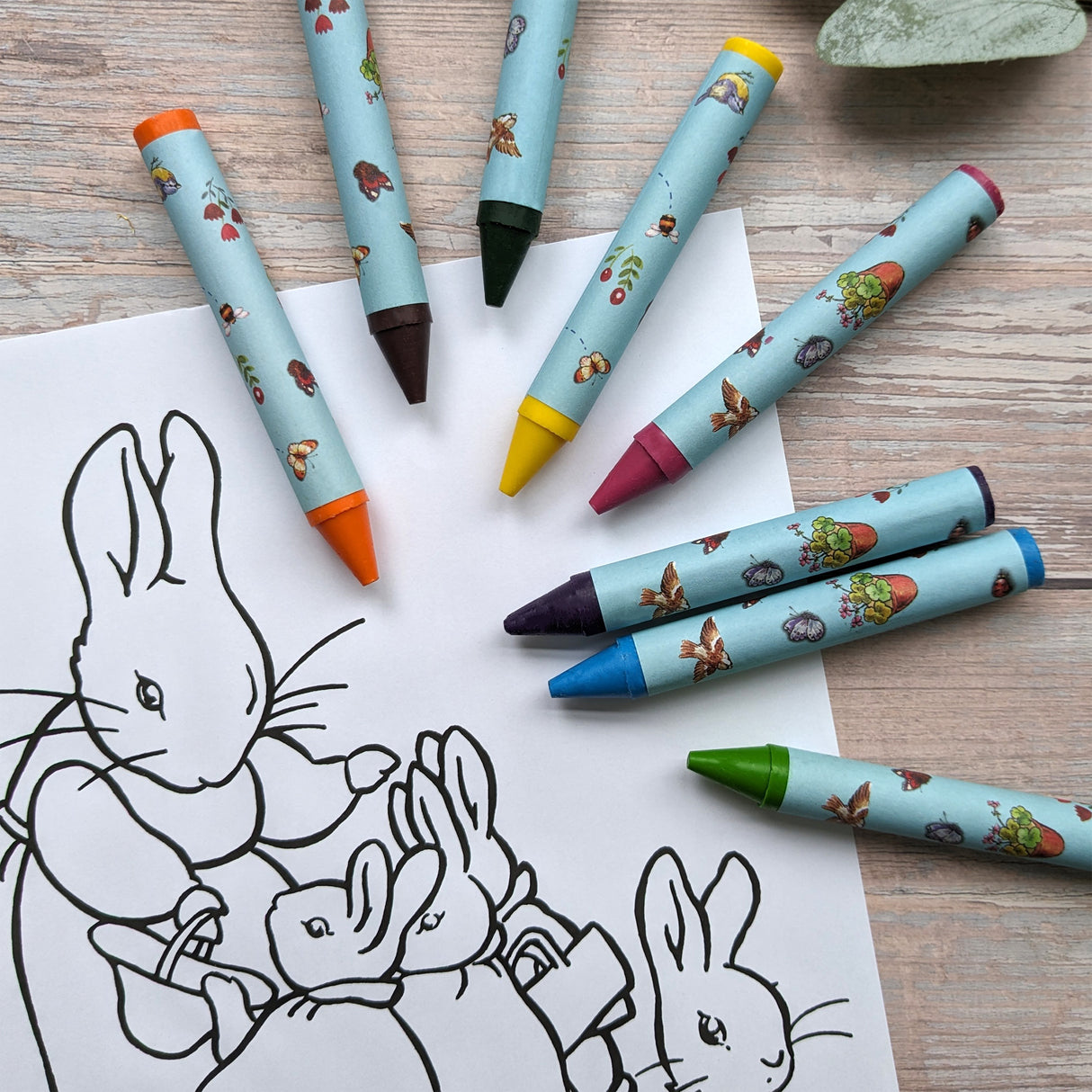 Peter Rabbit Jumbo Crayons