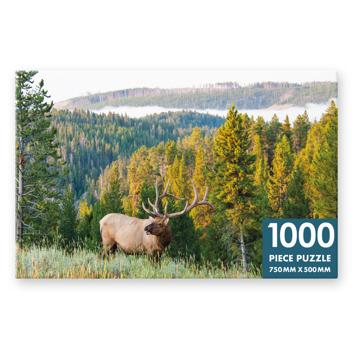 Morning Elk - 1000 Piece Puzzle