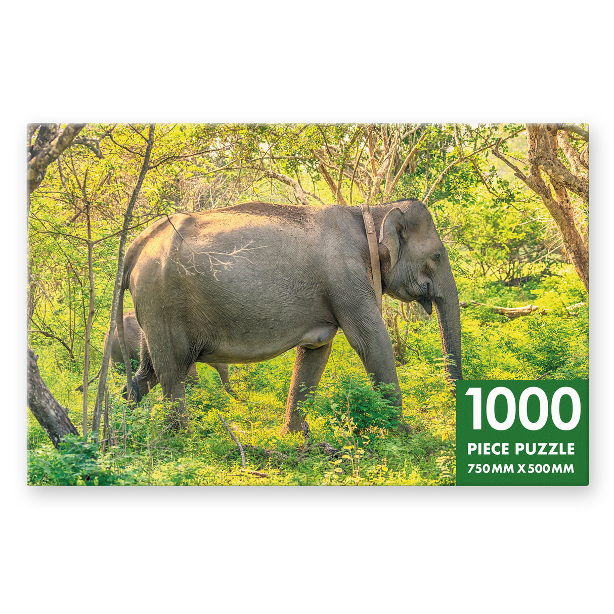 Sri Lankan Elephant - 1000 Piece Puzzle
