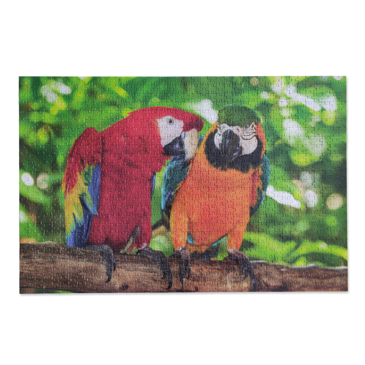 Pair Of Macaws - 1000 Piece Puzzle