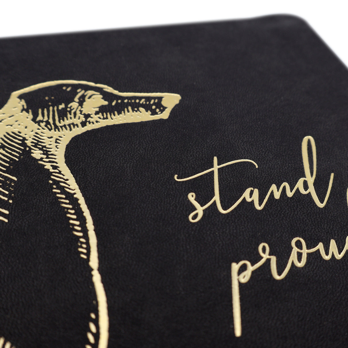 Premium B5 Lined Notebook Journal - Stand Proud Dog Design