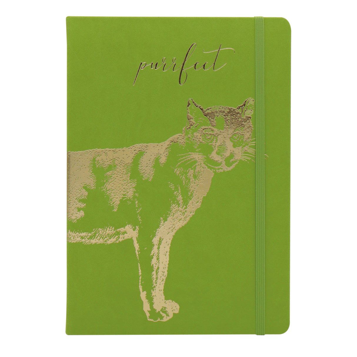 Premium B5 Lined Notebook Journal - The Purr-Fect Cat Design