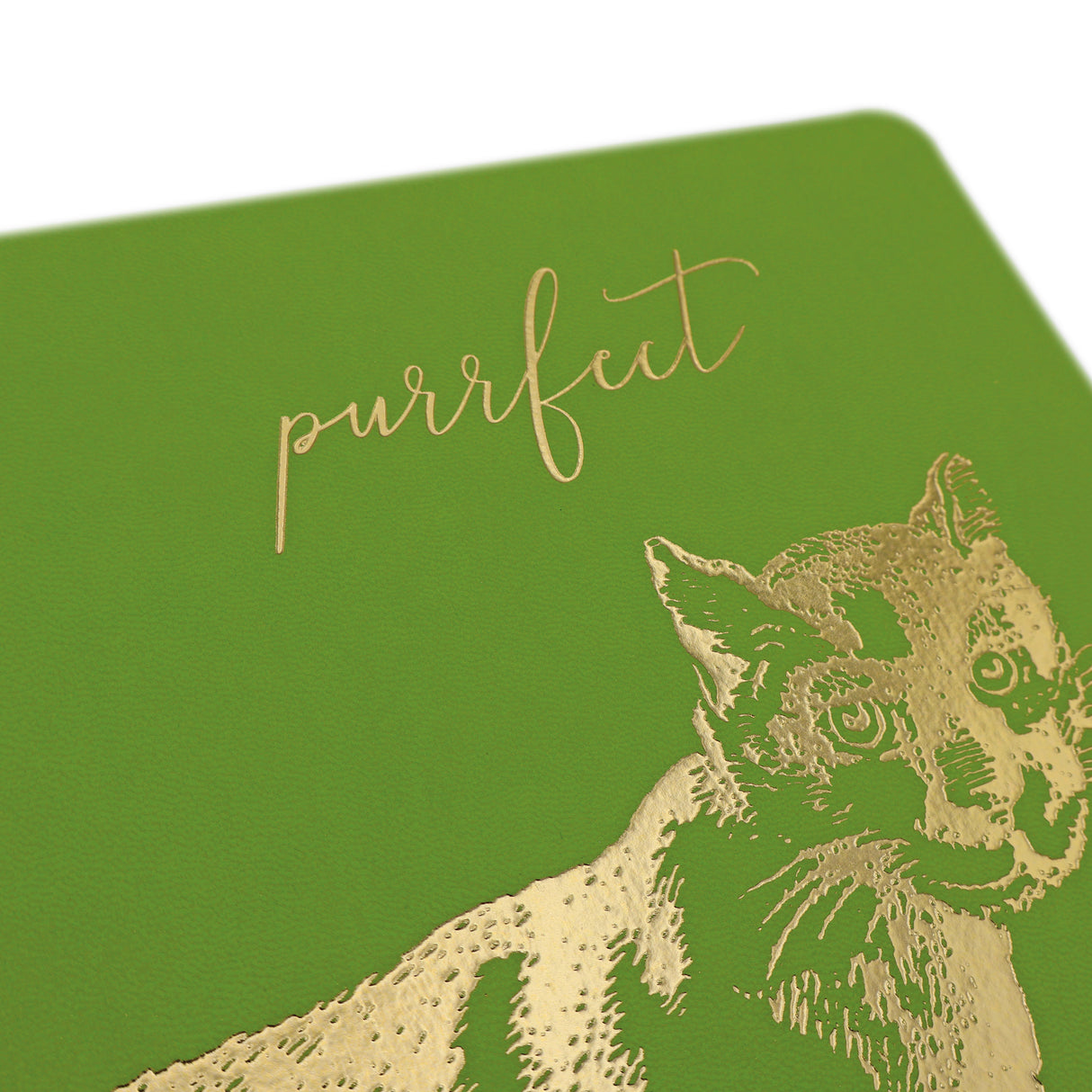 Premium B5 Lined Notebook Journal - The Purr-Fect Cat Design