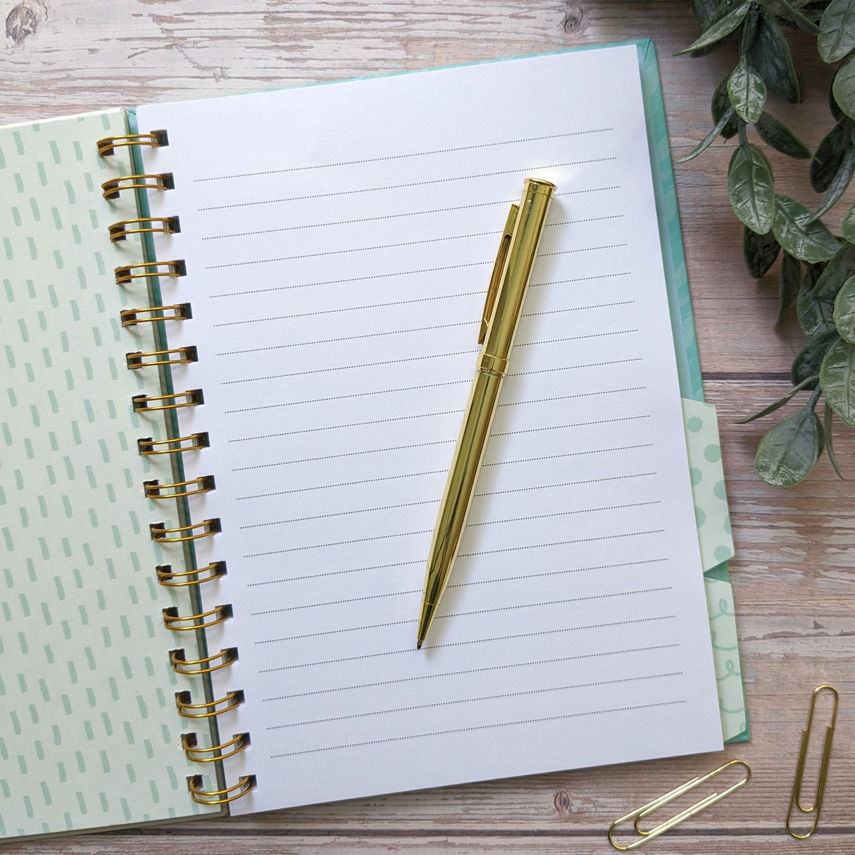 Peacock Feathers A5 Notebook With Dividers