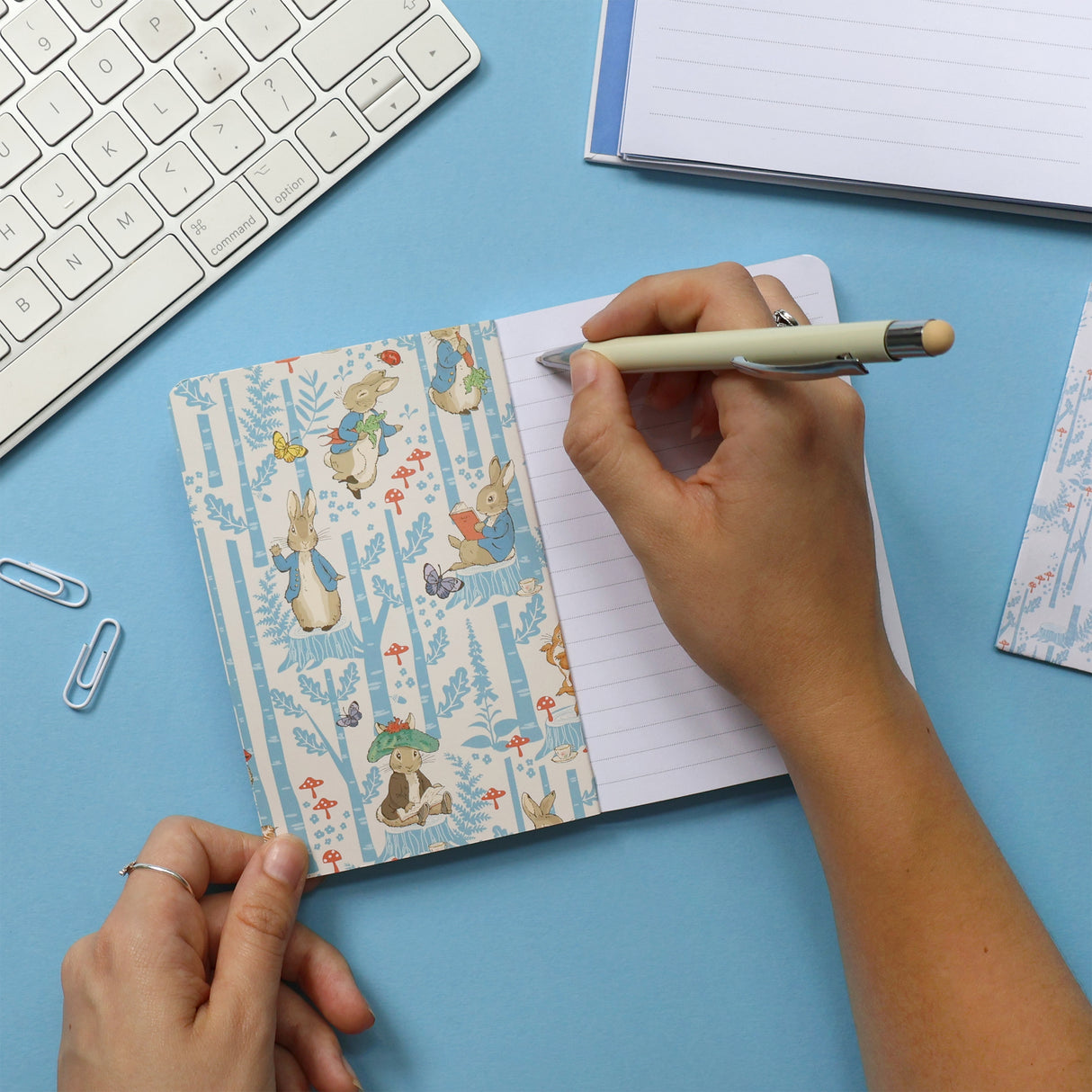 Peter Rabbit Notebook – A6 Forest Picnic Design