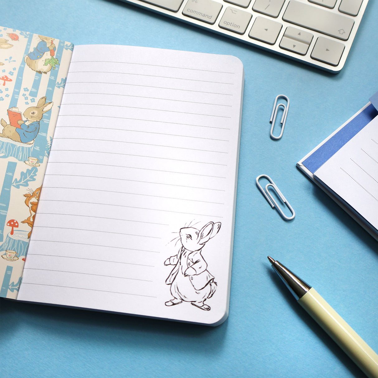 Peter Rabbit Notebook – A6 Forest Picnic Design